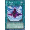Dimensional Rift [N] EOJ-JP047-N Yu-Gi-Oh! Card "Enemy of Justice