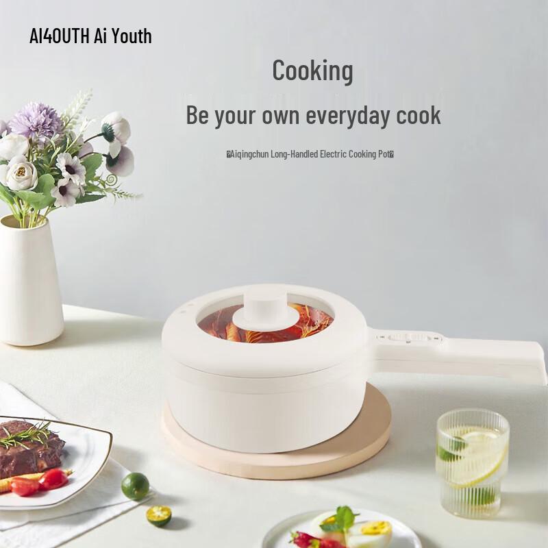 AIYOUTH Multifunction Electric Cooking Pot with Steamer CN plug (adapter included)