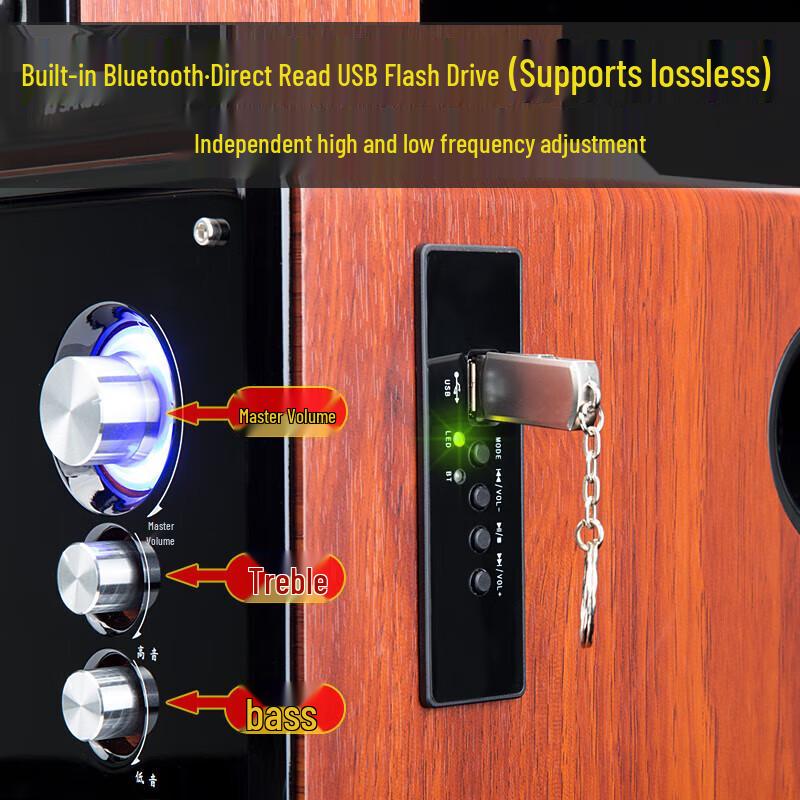 SANSUI 6.5-inch Wooden Subwoofer for TV & PC Karaoke