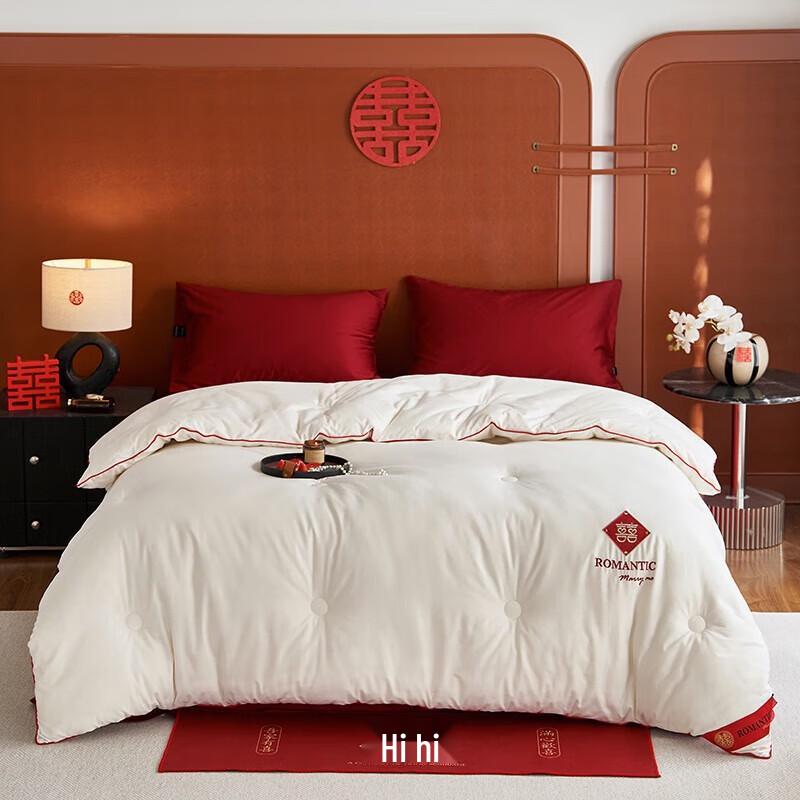 Belle Anna Premium Soy Fiber Comforter