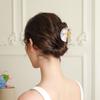 Sheep Cartoon Hair Clip Love Bear Shark Clip Personalized Acetate Penguin Hair Claw  Female