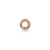 Roseedor Petit Circle Single Piercing_281800005