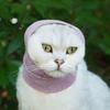 Geräuschreduzierung Hund Katze Kopfbedeckung Acrylfasern Haustier Ohrenschützer Warme Haustier Kopfumwicklung Hund Katze