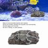 Aquarium Dinosaur Reliquiae Decoration Reptile Resin Dinosaur Reliquiae Rock   for Fish   Aquarium