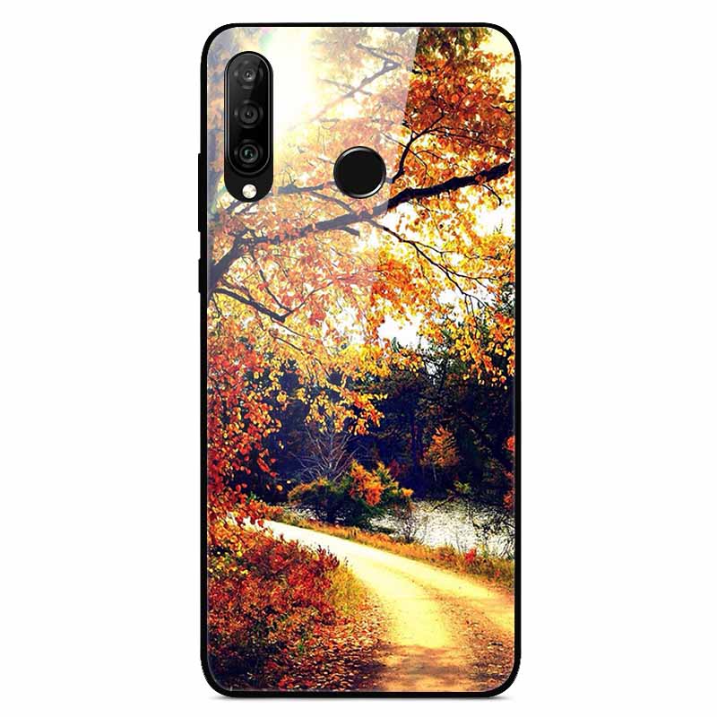 For Huawei P30 Lite Cases P30Pro P20pro P20Lite Luxury Tempered Glass Hard Back Cases for Huawei P20 Pro P30Pro Fundas Capa P20