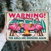 Pink Flamingo Party Wall Art Sign    Vintage Iron Metal Retro Beach Theme Decor with WARNING THE GIRLS ARE DRINKING AGAIN T