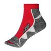 James and Nicholson Unisex Adult Logo Sport Trainer Socks