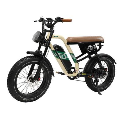 Maxturn W66 All-Terrain Electric Bicycle For Adult 48V13.5Ah Battery 100KM Range 20 Inch Fat Tires 500W Motor 120KG Load Off-Road E-Bike