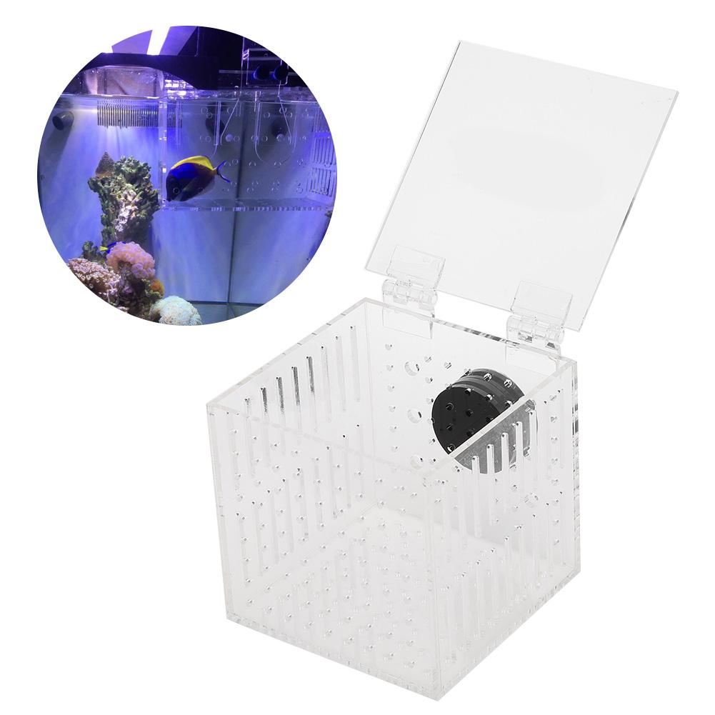 Acrylic Magnetic Aquarium Fish Breeding Isolation Box for Baby Fish Hatchery Incubator Cage