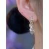and American Style Exquisite Geometric Silver Zircon Hoop Earrings, Simple and Versatile, Light Luxury French Style New Earrings, Hoop Earrings