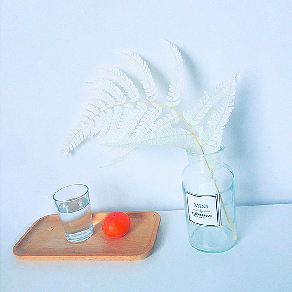 Preserved Fern Leaf for Home Decoration,Eternal Life,Natural Real Fern Plant,Handmade Flowers Material,Wedding,Home, 5Pcs,10Pcs