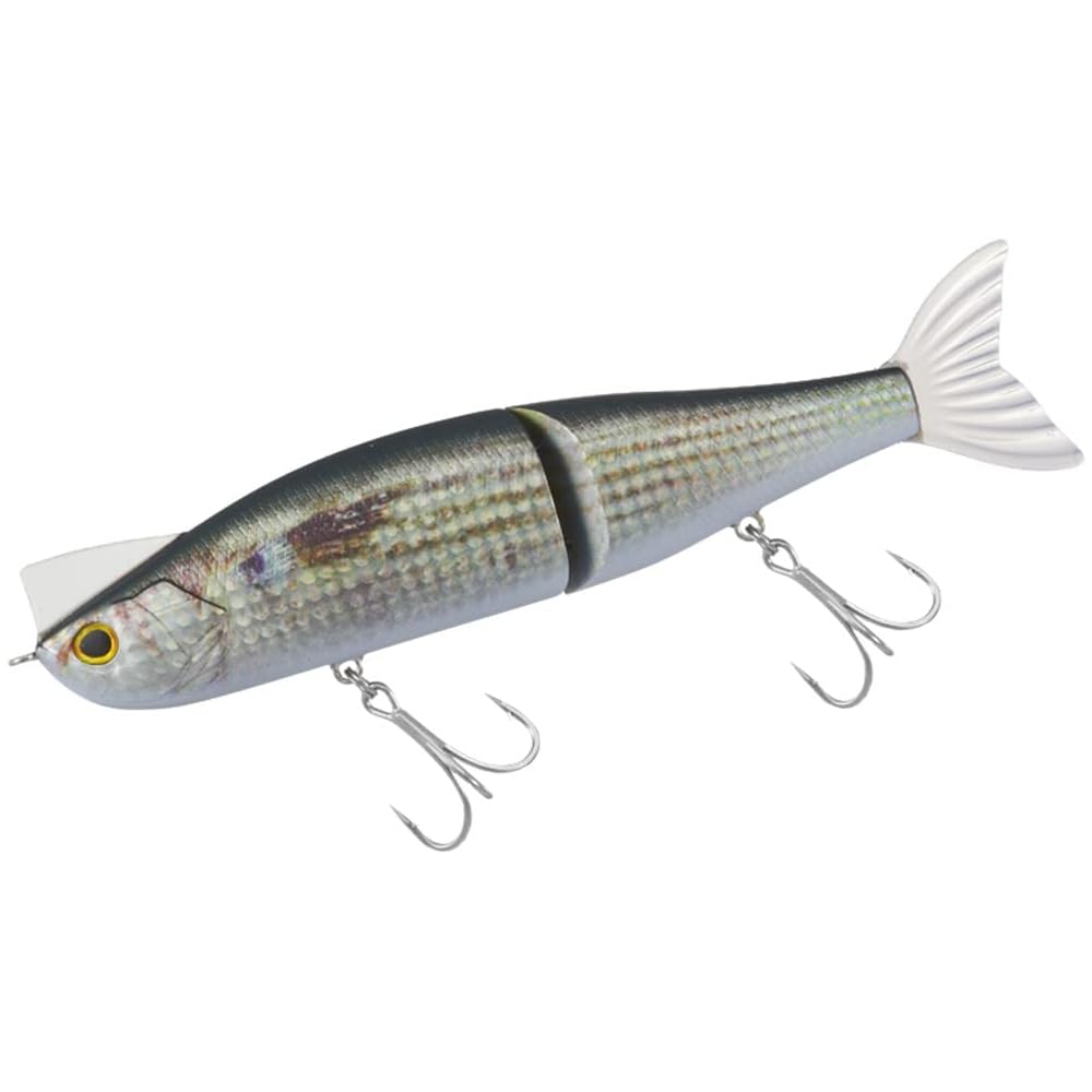 Daiwa Morethan Ray J Shad J 170.5F Real Iwana Lure Fishing Bait 170.5mm