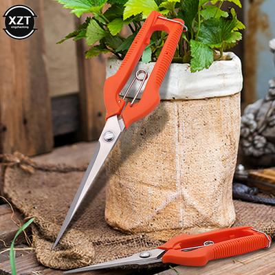 Forbici da potatura Forbici per rami Acciaio inossidabile Manico antiscivolo Affilate Giardino Albero da frutto Potatura Strumenti da giardino molto affilati