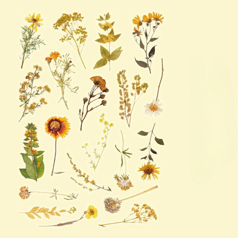 40Pcs Fresh Flowers Plants Stickers DIY Decoration PET Waterproof Stickers for Planners Scrapbooking Laptops