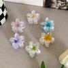 Fermaglio a Pinza Trasparente a Forma di Fiore d'Uovo Donna Temperamento Versatile di Alta Gamma Gradiente Fermaglio per Capelli Ragazza Fermaglio a Squalo Copricapo