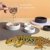 Keramik-Futter Napf für Reptilien | Rutschfester Doppelzweck-Futter- und Wassernapf | Wesentlich für Futter Lebensraum für Mehlwürmer & Lebendinsekten