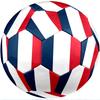 Squadra nazionale di calcio della Francia Tema Pallone da calcio Taglia 5 Pallone da calcio Tocco Morbido Pallone da calcio per Allenamento Professionale per Sport all'Aperto