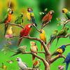 Acrylic Parrot Tree Hanging Decoration 2D Flat Colorful Parrot Indoor Outdoor Christmas Tree Wall Window Hanging Bird Sign Ornament