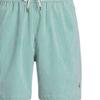 Polo Ralph Lauren SS24 Logo Embroidered Striped Elastic Waist Beach Shorts Men Shorts Green 710905990-004