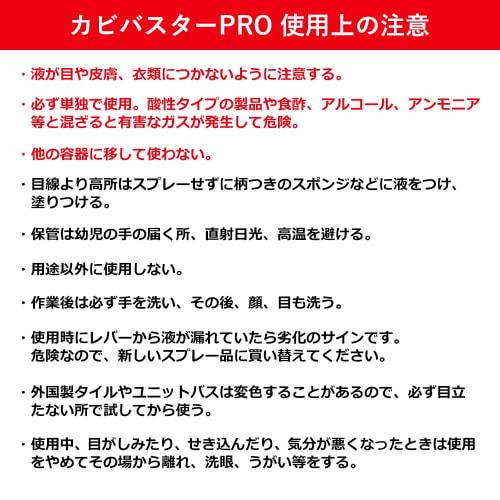 Souma PALCCOAT Mold Buster PRO 300ml, a Powerful, Highly Concentrated Foam Mold Remover for Professional Use (bathroom, Rubber Seals, Wallpaper)