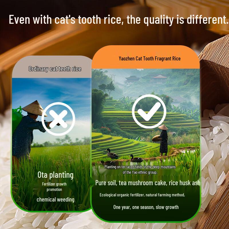 Yaozhen Cat's Tooth Fragrant Rice