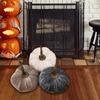 Pumpkin Trio for Thanksgiving Home Decoration