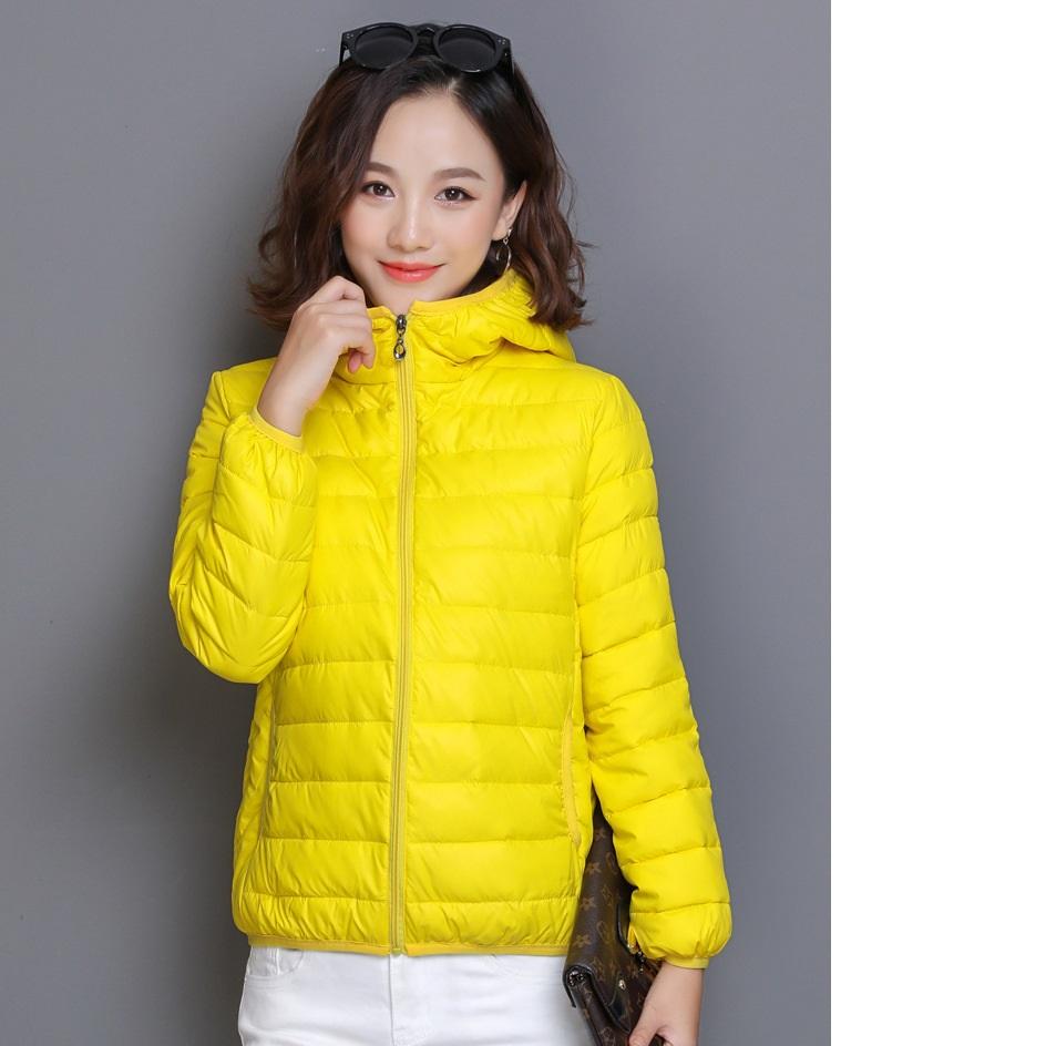 Winter Cotton-padded Warm Jacket Thin Cotton-padded Jacket Hooded Short Women's Clothing