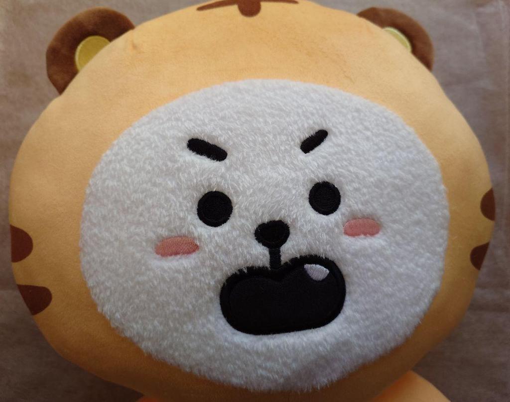 [USED] BT21RJ Plush Toy, Large (Tiger)