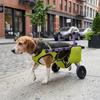 Breathable Dog Wheelchair Adjustable Pet Rehabilitation Walking Aids  Injury Recovery