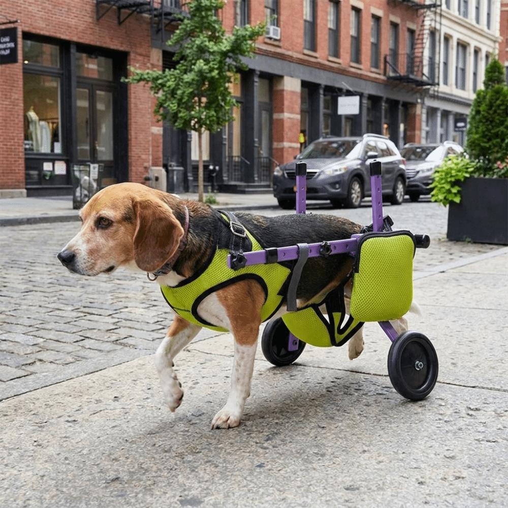 Breathable Dog Wheelchair Adjustable Pet Rehabilitation Walking Aids  Injury Recovery