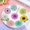 GOODCHI Gänseblümchen Diamantkunst Vollflächig beklebt Perlenmalerei Handgefertigt DIY Bastelbedarf Schlüsselanhänger, Doppelseitige Kunst, 12-teiliges Set, Kit, Niedlich, Glitzernd, Beliebt,