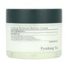 Pyunkang Yul Calming Moisture Barrier Cream 50ml (1,69 uncji płynu)