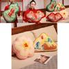 Traditional Chinese Style Feng Shui Cushion Pillow Wedding Sofa Decorative Pillow