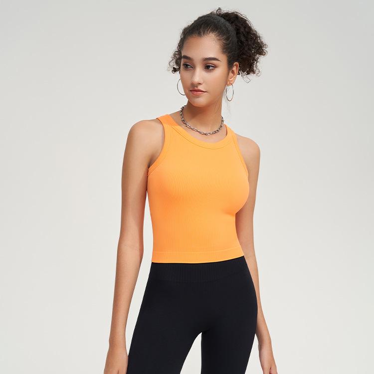 2025 Shockproof Sports Bra for Running, Fitness & Yoga - Women's High-Intensity Vest