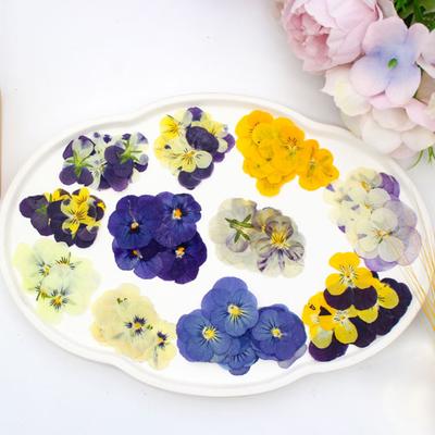 Yousheng 24 ks Přírodní lisované sušené květiny DIY umělecké a řemeslné projekty Ozdoba na dorty Dekorace Koktejly Pryskyřičné šperky Scrapbooking Výroba záložek Barevné