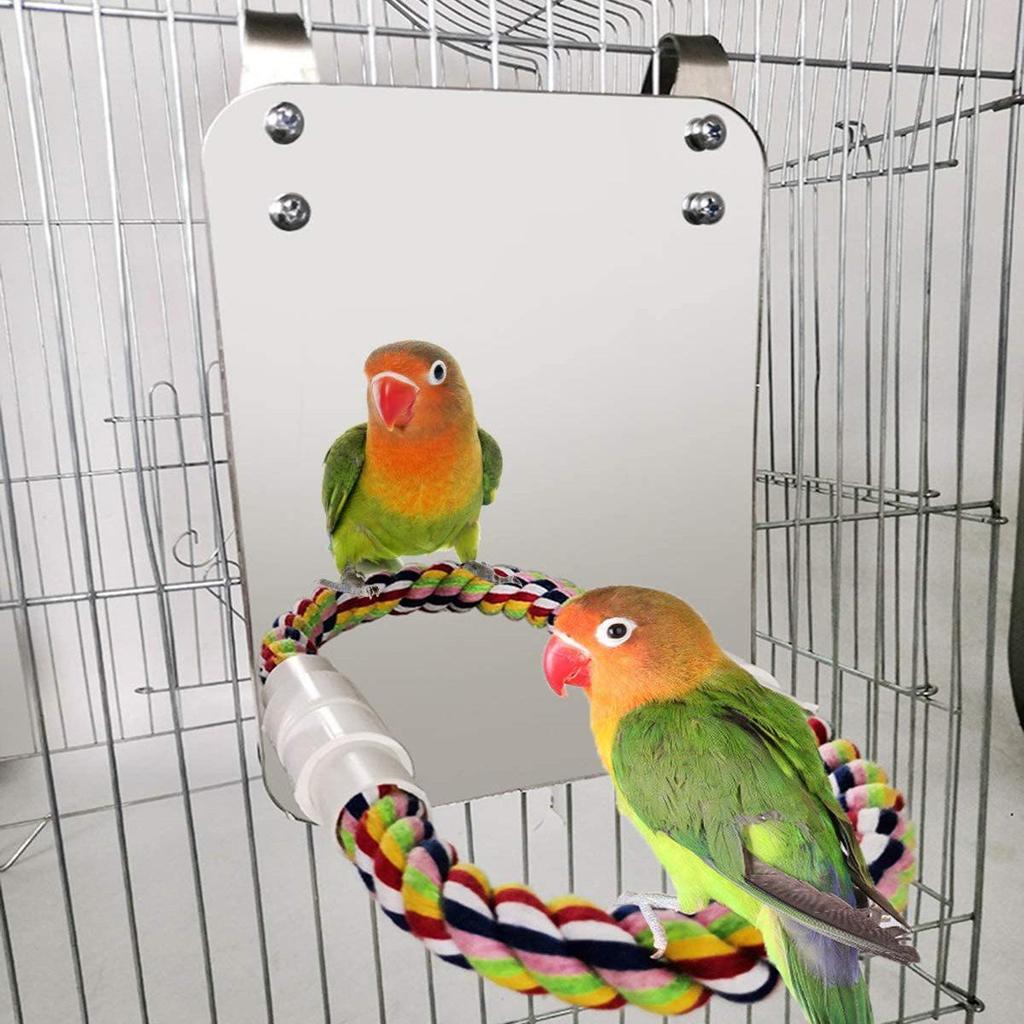 Bird Mirror and Cotton Rope Perch Toy: Educational and Chewable Parrot Supply