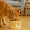Non-Slip Tilted Food Dish Cheese-Shaped Elevated Cat Bowl Anti-Spill Water Bowl  For Dogs and Cats