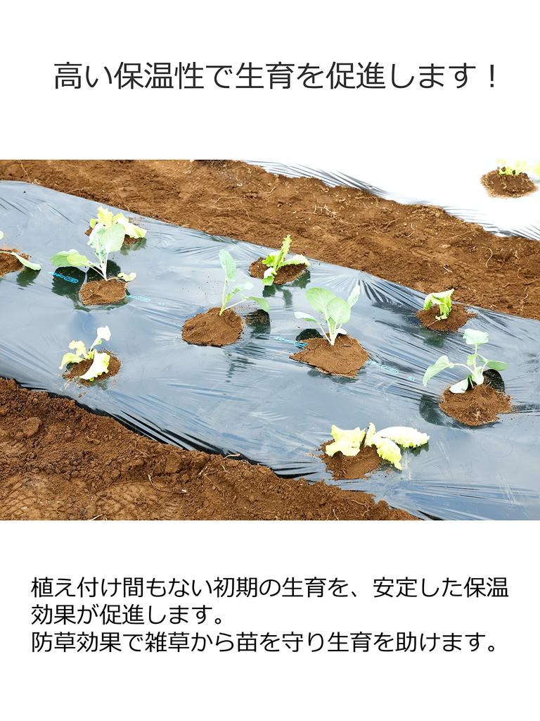 Iwatani Materials Iwatani Black Mulch for Vegetable Gardens, 0.02mm X 135cm X 50m