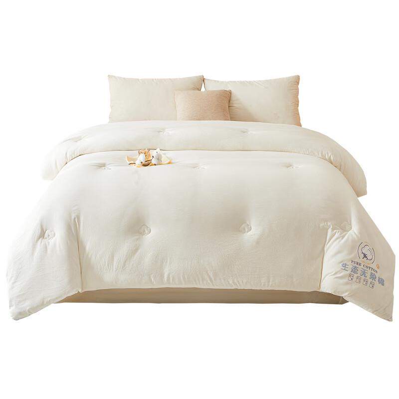 Oeny Thickened Winter Cotton Quilt