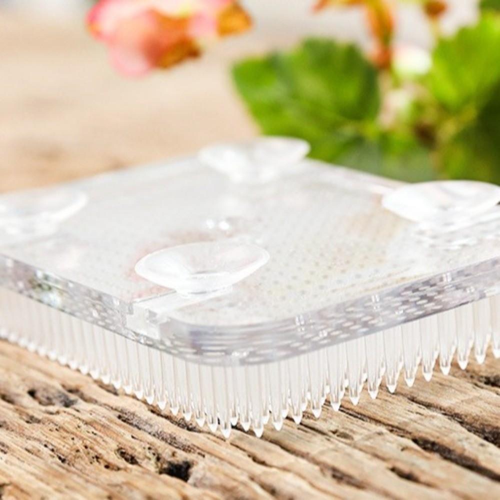 Round Flower Arranger Rectangle Pin Frog Holder Creative Fixed Arranging Tool Flower Arranging