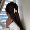 Opal Hairpin Shark Clip Bangs Clip Autumn Back Head Grab Clip Internet Celebrity Korean Ins Wind