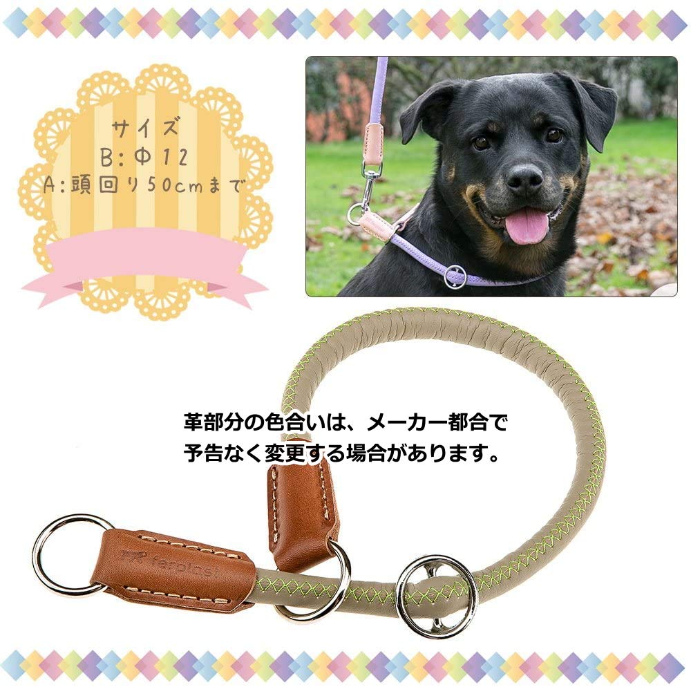 Ferplast Derby Chalk Collar, Green, GS12/50