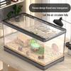 Luxury Acrylic Transparent Hamster Cage with Landscaping - Beginner Friendly, Spacious, for Golden Hamsters