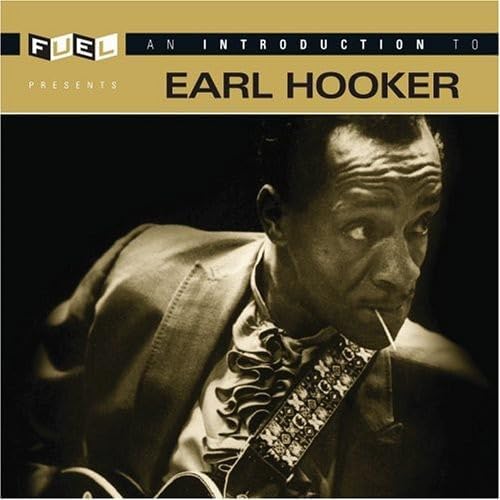 CD EARL HOOKER - Introduction to Earl Hooker  US Blues Used