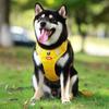 Reflective No Pull Dog Harness with Handle Breathable Adjustable Easy Control Pet Vest for Small Medium Large Dog Pettorina Cane