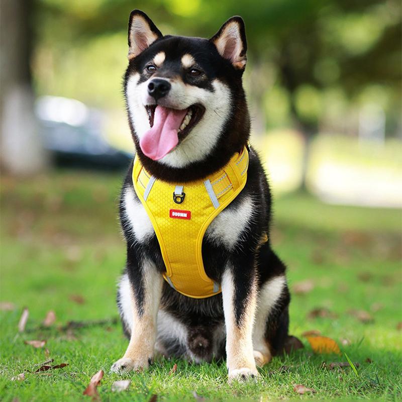 Reflective No Pull Dog Harness with Handle Breathable Adjustable Easy Control Pet Vest for Small Medium Large Dog Pettorina Cane