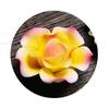 Ceramic Imitation Floral Thread Incense Tray Home Tea Room Aroma Diffuser Lotus Leaf Base Buddha Hall Incense Burner