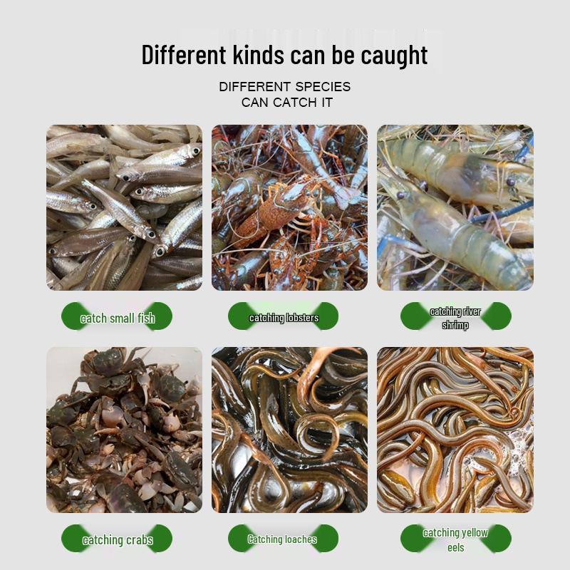 Yellow Inverted Mouth Eel & Fish Trap Cage
