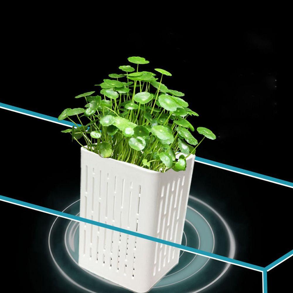 Water Plant Landscape Fish Tank Hydroponic Planting Basket Fish Tank Plant Cup  for Fish Tank