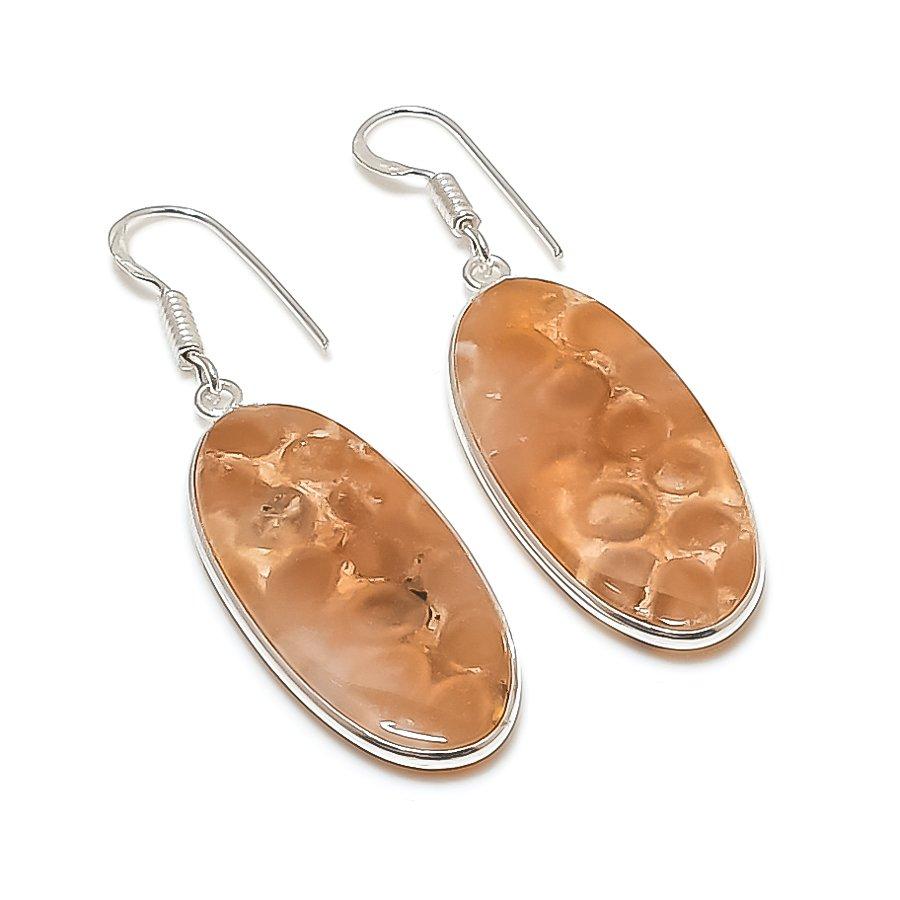 Natural Fossil Coral Gemstone 925 Sterling Silver Jewelry Earring 2.01 AE-12277
